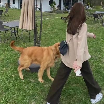 舒克贝塔第四季